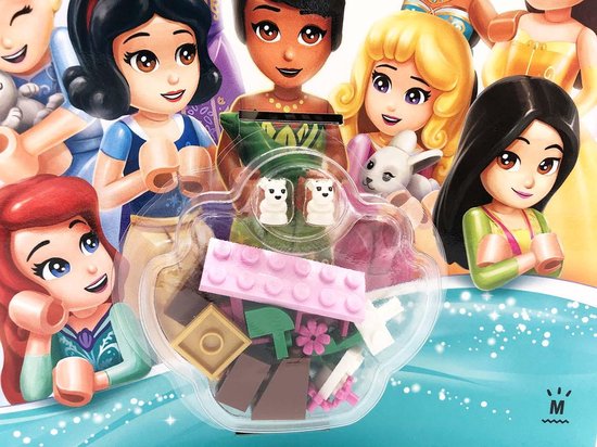 LEGO Disney Prinses - Magische avonturen met de prinsessen - Doeboek + LEGO blokjes!