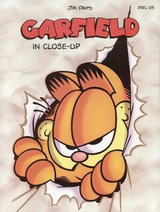 Garfield 125 - In close-up
