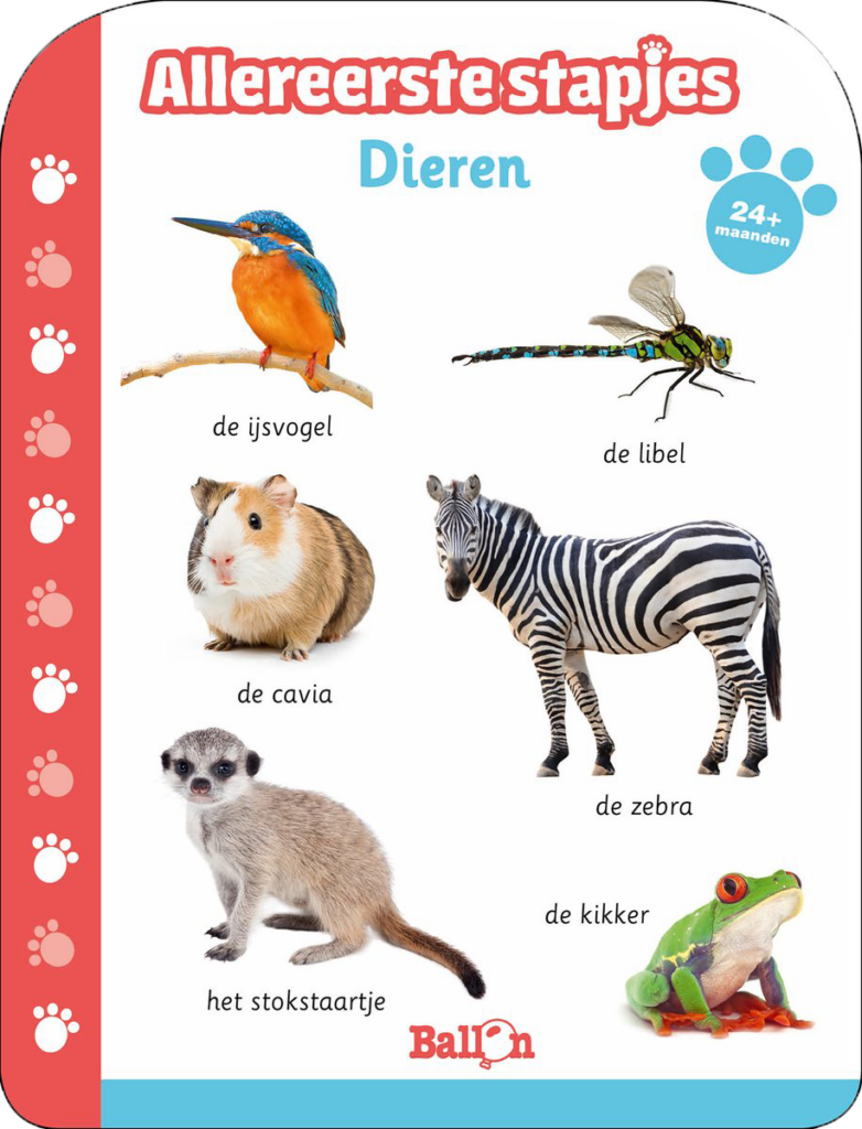 Allereerste stapjes - Dieren 24+ maanden