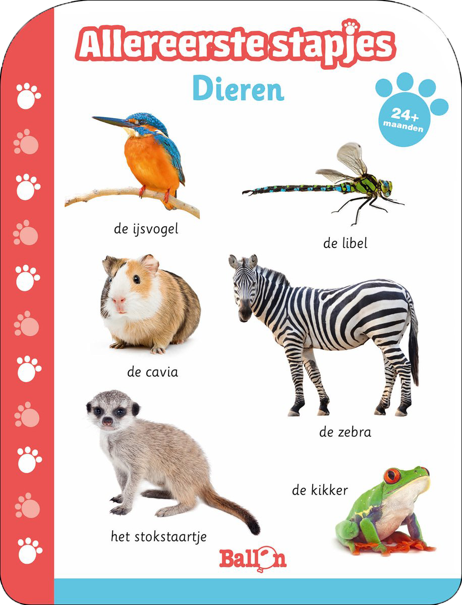 Allereerste stapjes - Dieren 24+ maanden